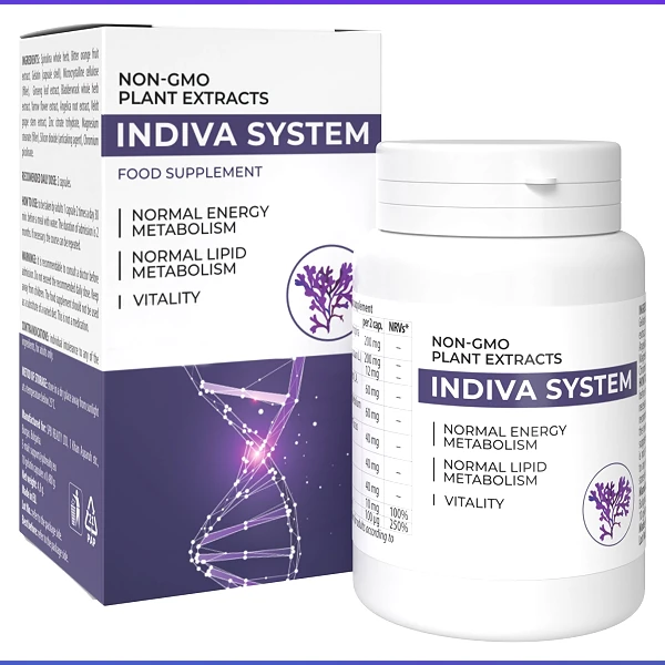 InDiva System